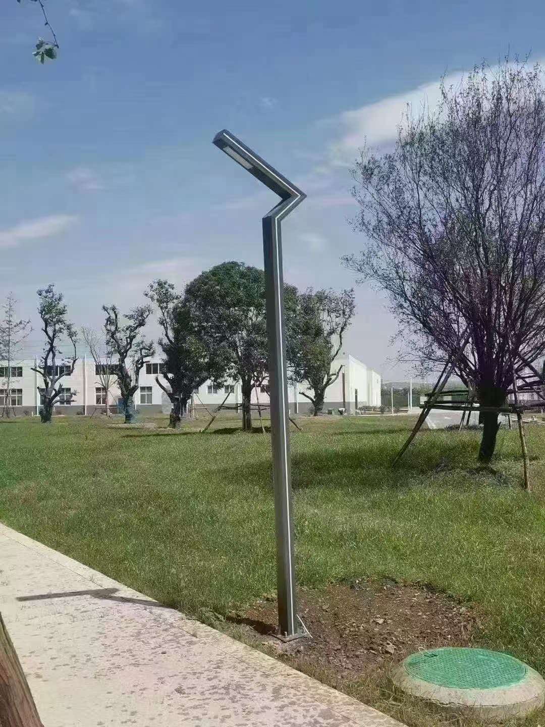 庭院灯草坪步道安装实景