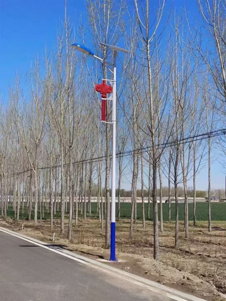太阳能路灯道路照明实拍
