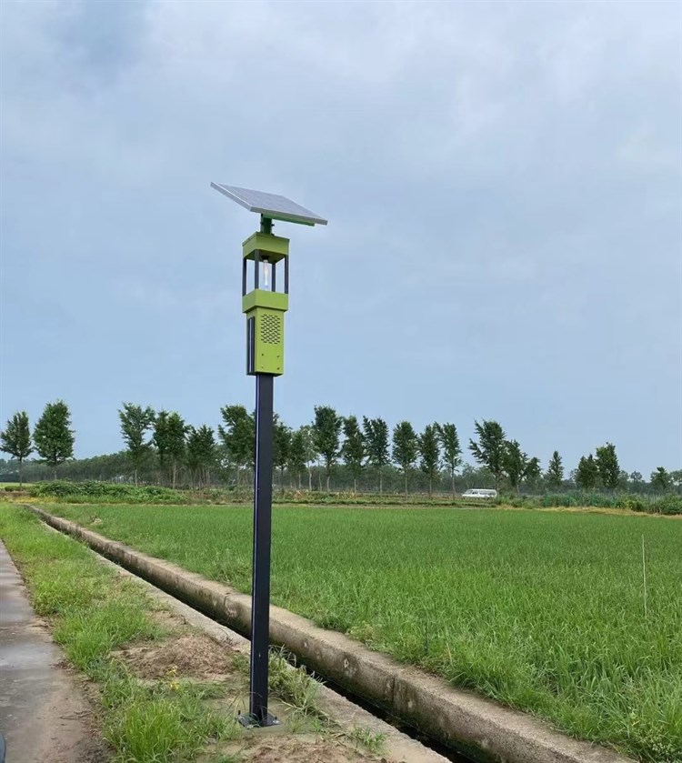 农田太阳能风吸式杀虫灯应用场景